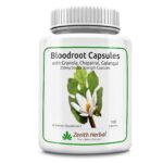 Bloodroot Bottle