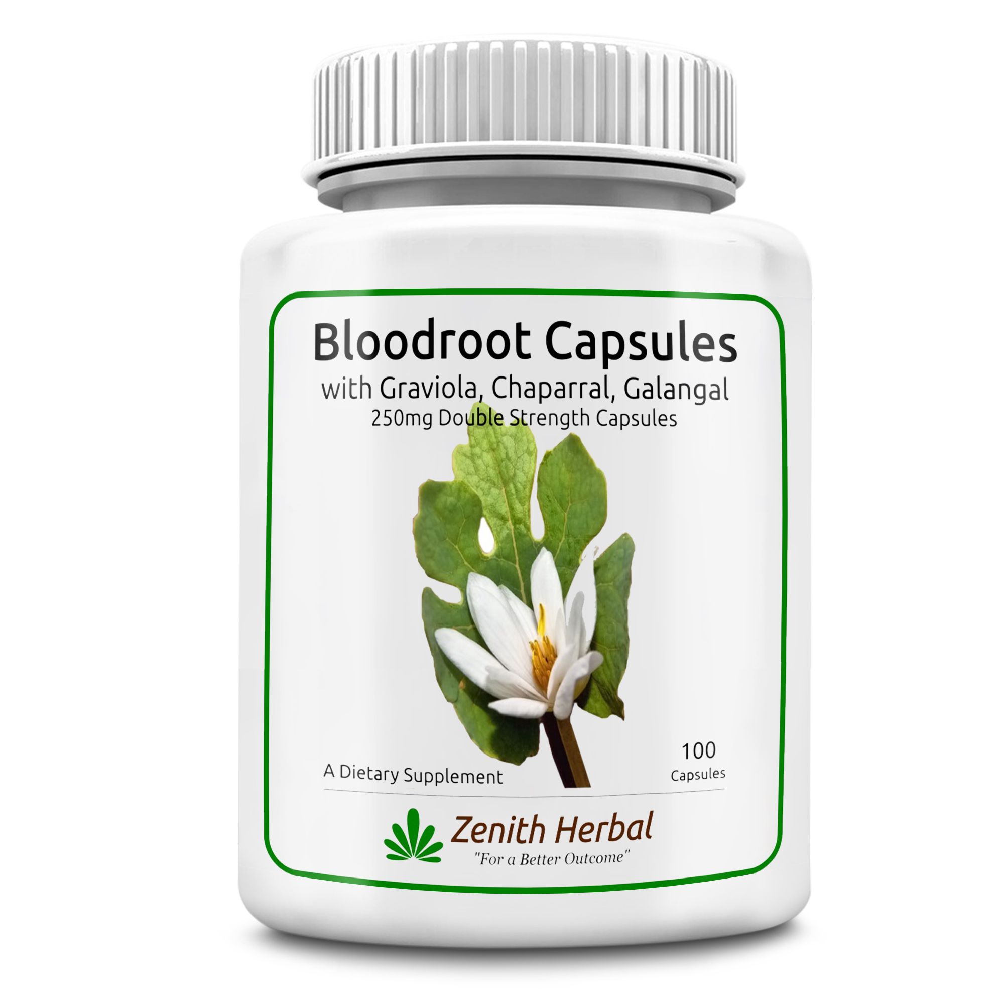 Bloodroot Capsules, Double Strength from Zenith Herbal