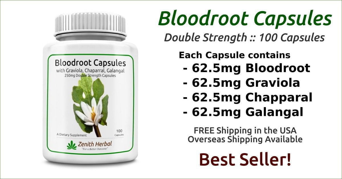 Bloodroot Capsules, Double Strength from Zenith Herbal