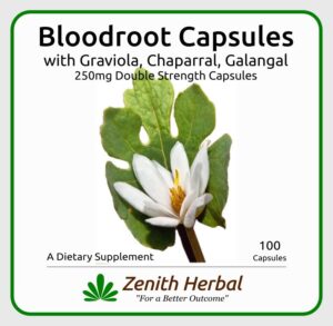 Bloodroot Capsules Image