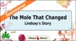Lindsay feature