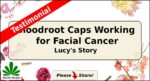 Lucy bloodroot
