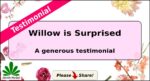 Willow