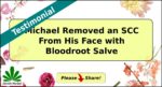 Michael M featured