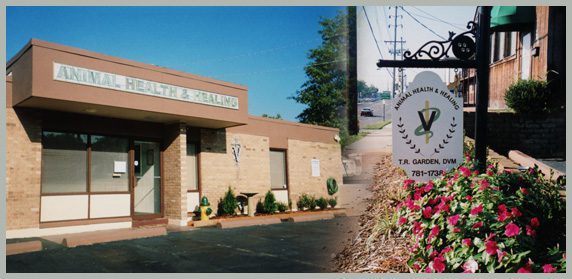 animal health clinic: neoplasene