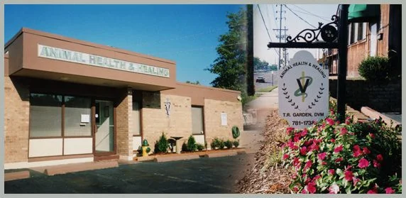 animal health clinic: neoplasene