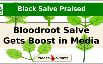Media vs Black Salve
