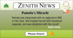 pamela 2