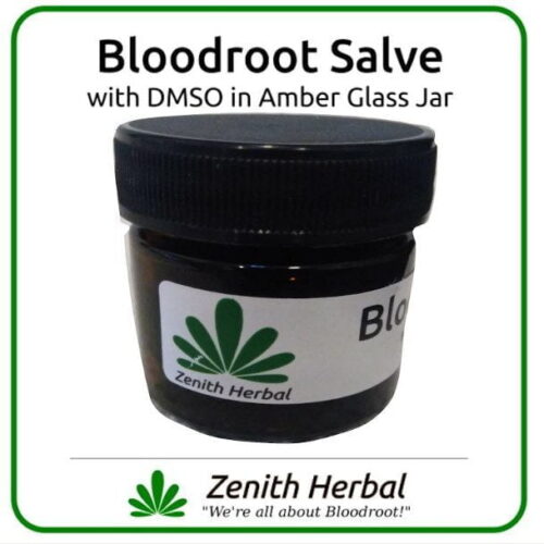 Bloodroot Salve