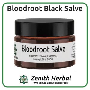 Salve Featured Image