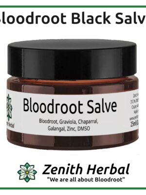 Salve Featured Image