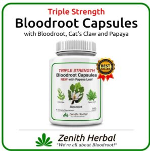 Bloodroot capsules