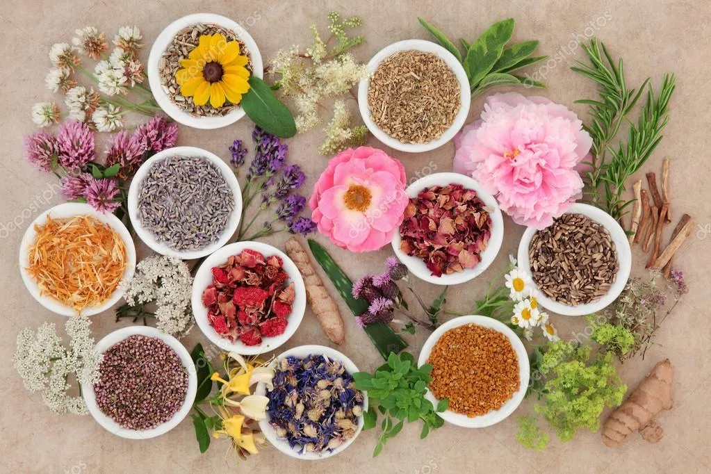 Healing Herbs