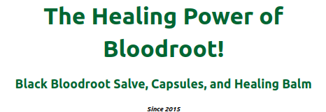 Healing Power of Bloodroot