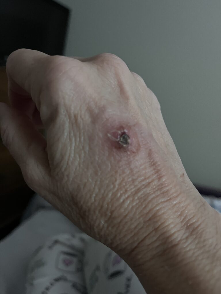 Image #3 from Metta P.