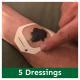 Application Kit Image 5 Bloodroot Black Salve with DMSO, Deep Tissue, Free Shipping, incl. Free Application Kit