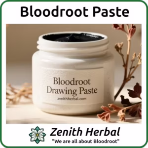 Bloodroot-Paste-Featured