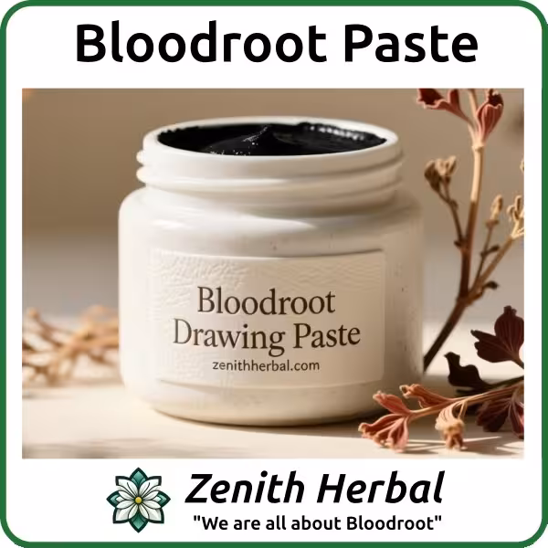 Bloodroot-Paste-Featured