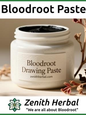 Bloodroot Paste