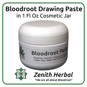 Bloodroot Drawing Paste in Cosmetic Jar Featured Image