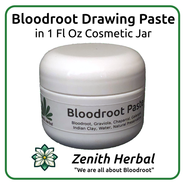 Paste In Cosmetic Jar Featured Image Bloodroot Drawing Paste In Cosmetic Jar Featured Image